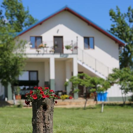 Pensiunea Palaghia Jurilovca Eksteriør billede